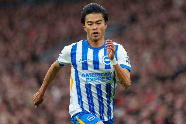 展示何为 展示何为